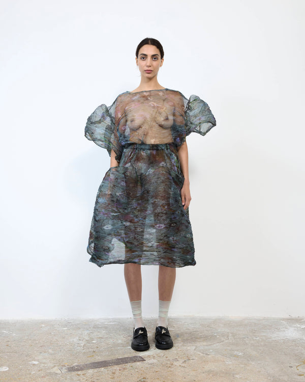 HANDPLEATED THEKLA DRESS IN TRANSPARENT FRANCES